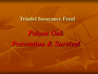 Trindel Insurance Fund