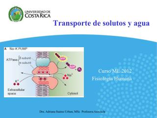 Transporte de solutos y agua