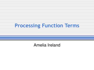 Processing Function Terms