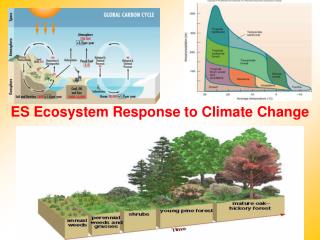 ES Ecosystem Response to Climate Change