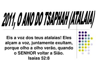 2011, O ANO DO TSAPHAH (ATALAIA)