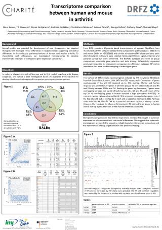 Transcriptome comparison between human and mouse in arthritis