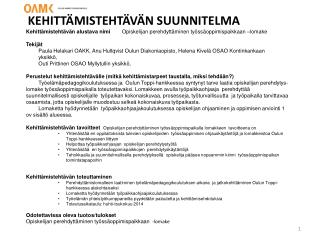 KEHITTÄMISTEHTÄVÄN SUUNNITELMA