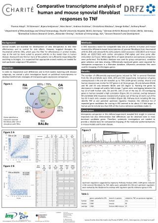 Comparative transcriptome analysis of human and mouse synovial fibroblast responses to TNF