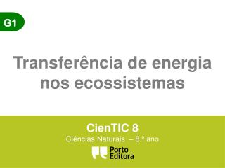 Transferência de energia nos ecossistemas