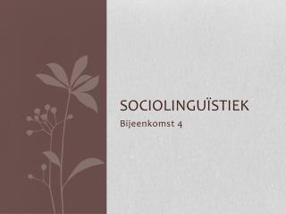 Sociolinguïstiek