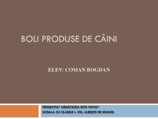 BOLI PRODUSE DE CÂINI