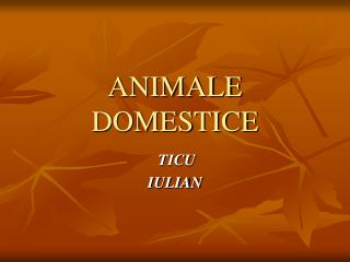 ANIMALE DOMESTICE