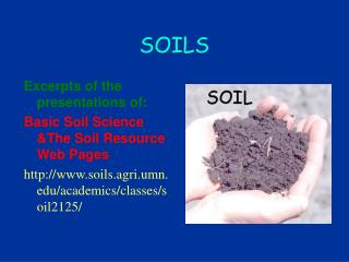 SOILS