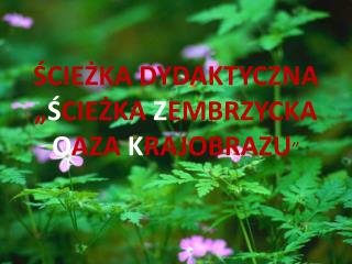 ŚCIEŻKA DYDAKTYCZNA „ Ś CIEŻKA Z EMBRZYCKA O AZA K RAJOBRAZU ”