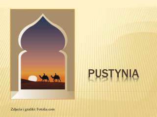 PUSTYNIA