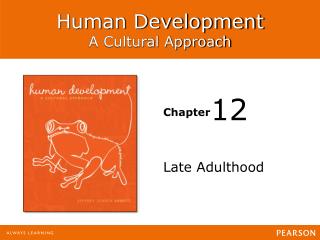 Late Adulthood