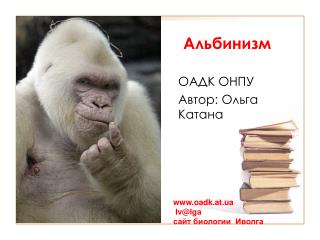 Альбинизм
