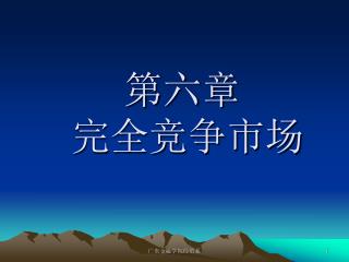 第六章 完全竞争市场