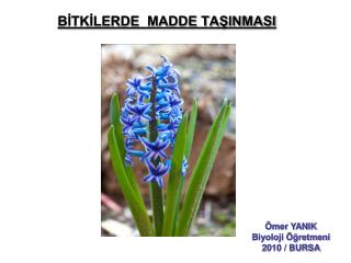 BİTKİLERDE MADDE TAŞINMASI