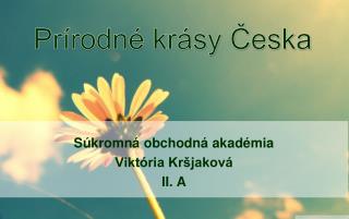 Súkromná obchodná akadémia Viktória Kršjaková II. A