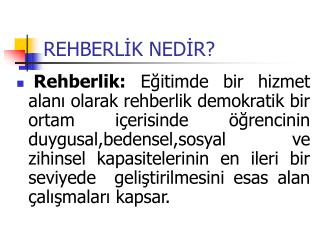 REHBERLİK NEDİR?