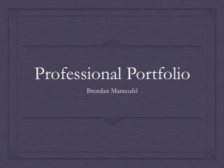 Professional Portfolio