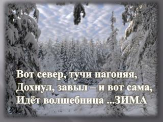 Вот север, тучи нагоняя, Дохнул, завыл – и вот сама, Идёт волшебница ...ЗИМА