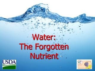Water: The Forgotten Nutrient
