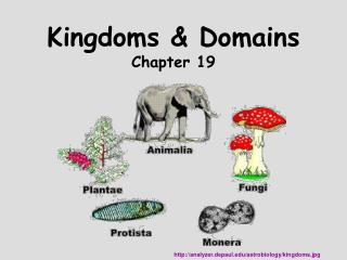 Kingdoms &amp; Domains Chapter 19