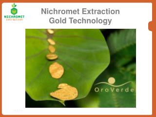 Nichromet Extraction Gold Technology