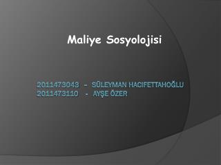 2011473043 - Süleyman hacIfettahoğlu 2011473110 - Ayşe Özer