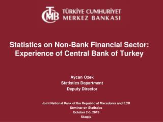 Statistics on Non-Bank Financial Sector: Experience of Central Bank of Turkey