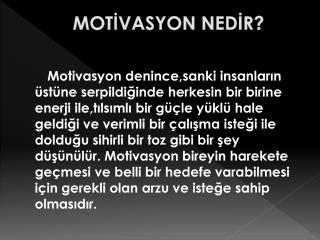 MOTİVASYON NEDİR?