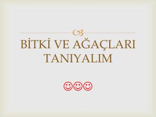 BİTKİ VE AĞAÇLARI TANIYALIM 