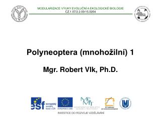 Polyneoptera (mnohožilní) 1 Mgr. Robert Vlk, Ph.D.