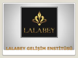 LALABEY GELİŞİM ENSTİTÜSÜ