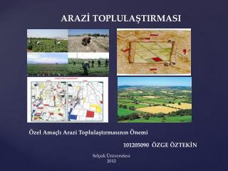 ARAZİ TOPLULAŞTIRMASI