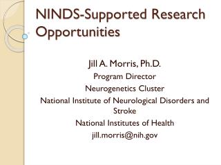 NINDS-Supported Research Opportunities