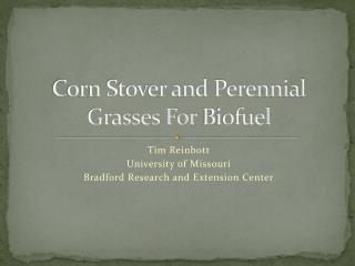 Corn Stover and Perennial Grasses For Biofuel