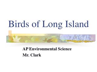 Birds of Long Island