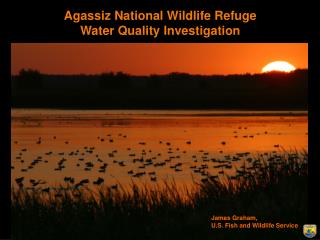 Agassiz National Wildlife Refuge Water Quality Investigation