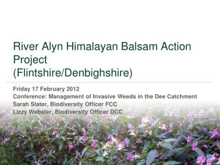 River Alyn Himalayan Balsam Action Project (Flintshire/Denbighshire)