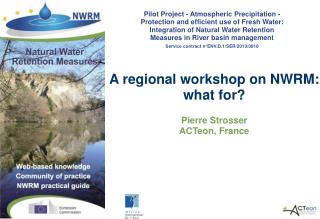 A regional workshop on NWRM: what for? Pierre Strosser ACTeon, France