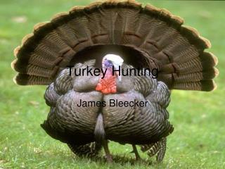 Turkey Hunting