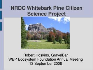 NRDC Whitebark Pine Citizen Science Project