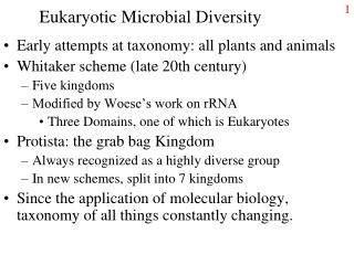 Eukaryotic Microbial Diversity