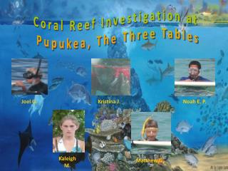 Coral Reef Investigation at Pupukea, The Three Tables