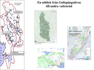 En utblick från Gullspångsälven till andra vattenråd