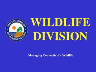 WILDLIFE DIVISION