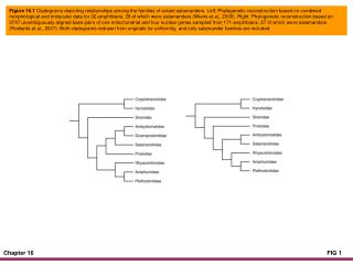 Figure 16.2 Geographic distribution of the extant Cryptobranchidae.