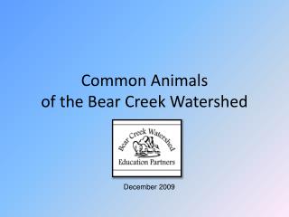 Common Animals of the Bear Creek Watershed