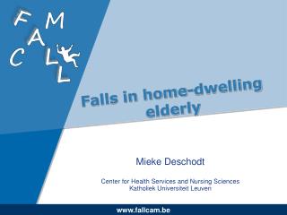 Falls in home-dwelling elderly