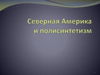 Северная Америка и полисинтетизм