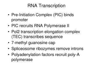RNA Transcription